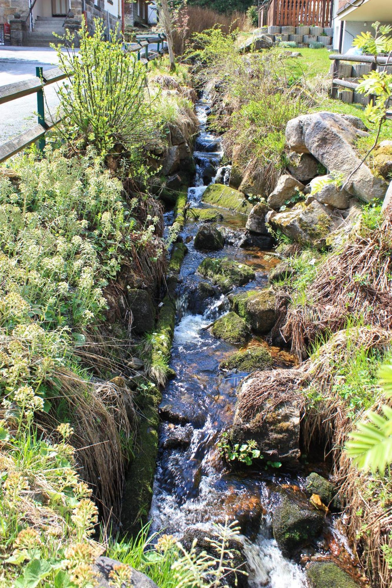 Ferienanlage Zum Wildbach Schierke Exteriör bild
